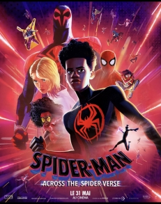 SPIDER-MAN : ACROSS THE SPIDER-VERSE
