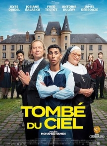 <p>TOMB&Eacute; DU CIEL</p>